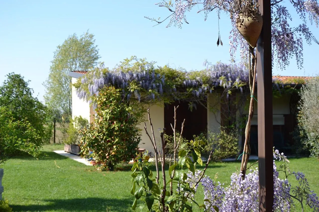 Two Elegant Depandance Villa Conscio Italy